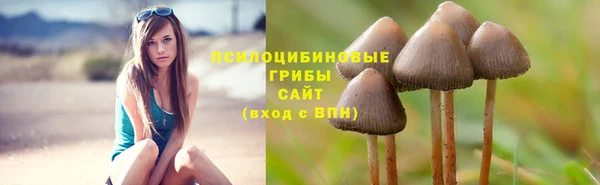 мескалин Алзамай