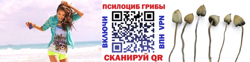 Псилоцибиновые грибы GOLDEN TEACHER  хочу   Рошаль 
