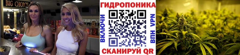 МАРИХУАНА OG Kush Рошаль