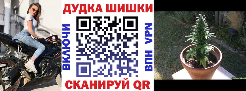 Марихуана сатива  Рошаль 